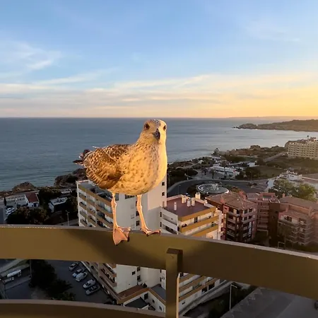 Apartment Luxury Ocean View Apartments I Sunset Terrace I Pool I 200M To Praia Dos Tres Castelos *