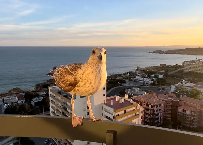 Appartamento Ocean View - Amazing Sunset - Modern Style - Pool & 200m To *