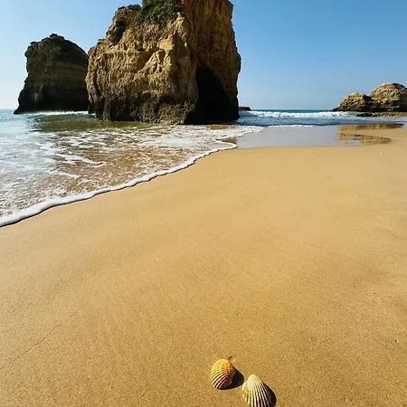 Ocean View - Amazing Sunset - Modern Style - Pool & 200m To Portimão